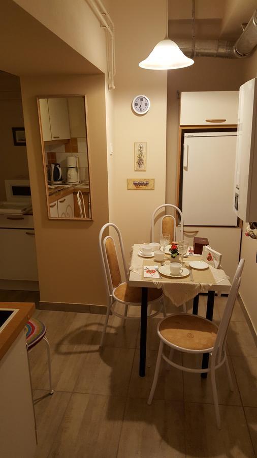 Orosháza Hangulat Vendeghaz Apartmanok מראה חיצוני תמונה